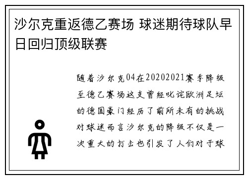 沙尔克重返德乙赛场 球迷期待球队早日回归顶级联赛