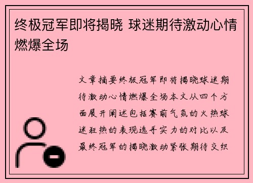 终极冠军即将揭晓 球迷期待激动心情燃爆全场