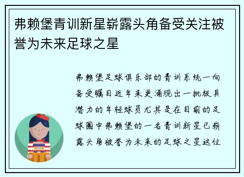 弗赖堡青训新星崭露头角备受关注被誉为未来足球之星