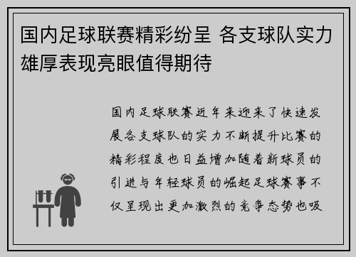 国内足球联赛精彩纷呈 各支球队实力雄厚表现亮眼值得期待