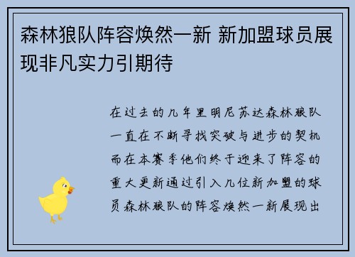 森林狼队阵容焕然一新 新加盟球员展现非凡实力引期待