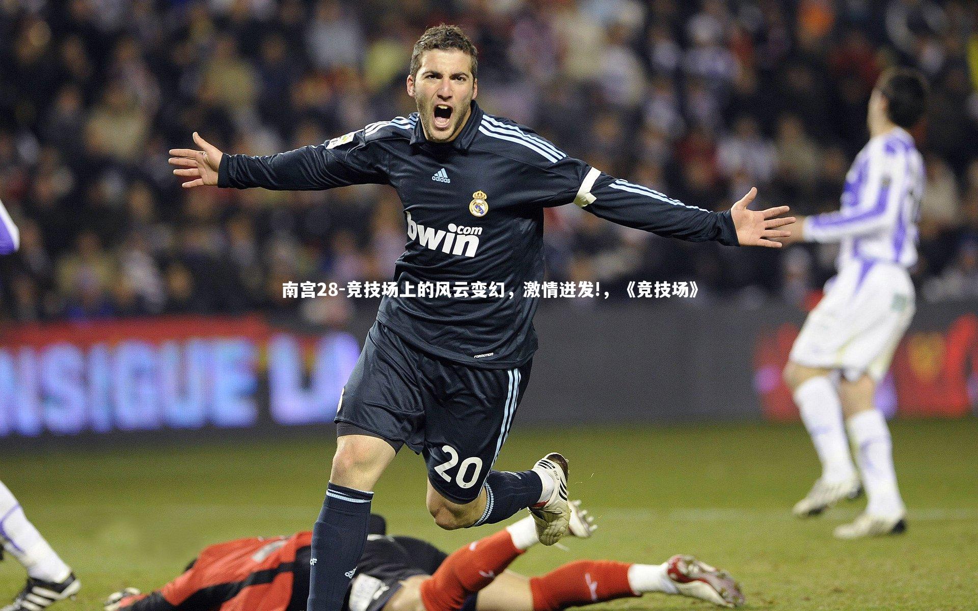 竞技场上的风云变幻，激情迸发!，《竞技场》